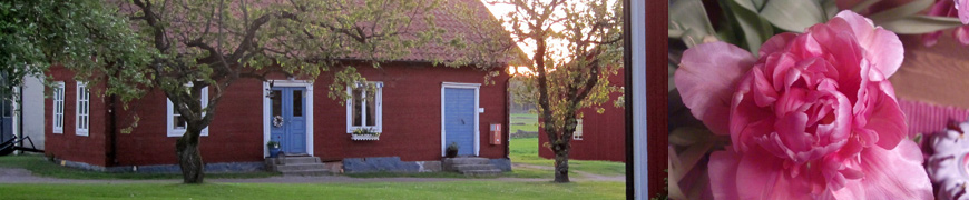 gårdsbutik gårdsbutik